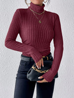 Elegant Solid Basic Knitted Tops New Women Turtlneck Sweater Long Sleeve Casual Slim Pullover Fashion Simple Style Design