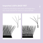 DIYDAY W Shape Eyelash Extension 3d 4d 5d 6d 7d 8d W-Shaped Eyelashes Premade Fans Individual BASF Mink Faux Lashes