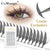 spire lashes