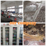 12 Styles TZG Fashion Cufflinks Men Cuff Links 1 Pair