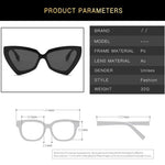 Cat Eye Sunglass Trendy Female Eyewear Luxury Brand Designer Popular Women Travelling Sun Shades Glasse