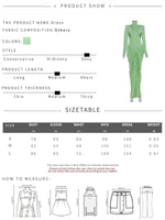 Weird Puss Autumn New Style Maxi Dress Women Turtleneck Full Sleeve Backless Skinny Stretch  Prom Party Ruched Elegant Vestidos